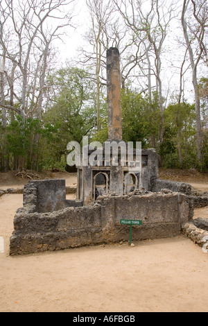 Säule-Grab in Gedi Ruinen im Arabuko Sokoke Wald in der Nähe von Malindi Kenia in Ostafrika Stockfoto