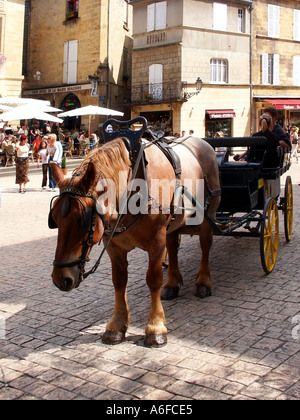 Pferd und Wagen Sarlat la Caneda Dordogne Frankreich Stockfoto