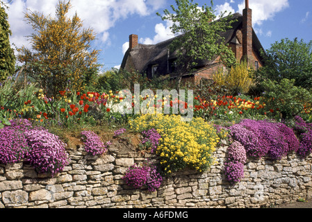 bunte Blumen im Cottage Garten Worcestershire England uk Stockfoto