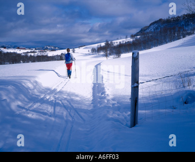 Ski Langlauf, Ervik, in der Nähe von Harstad, Hinnøya, Troms, arktische Norwegen. Stockfoto