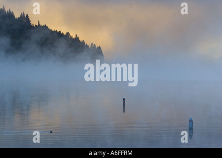 Nebel steigt auf Donner Lake Kalifornien bei Sonnenaufgang an einem Wintermorgen Stockfoto