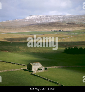 Stein-Scheune unter Brunnen fiel, über Stainforth Ribblesdale, Yorkshire Dales National Park, North Yorkshire, England, UK. Stockfoto