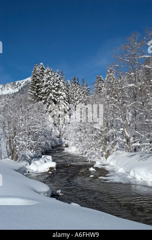 Der Fluss Rote Valepp in der Nähe von Albert-Link-Haus in der Nähe See Spitzing Spitzingsee Upper Bavaria Germany Stockfoto