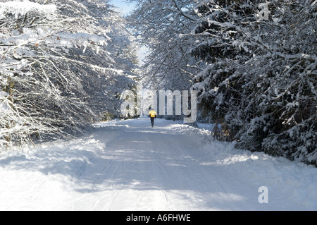 Jogger auf Schnee bedeckt Straße in den Wald Perlacher Forst München Stockfoto