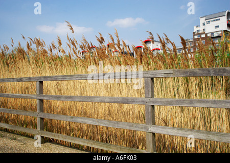 Milleniums Dorf Greenwich Stockfoto