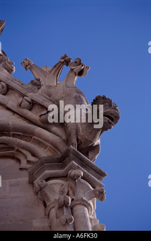 Wasserspeier auf die Türme von Notre Dame Cathederal in Paris Stockfoto