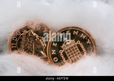 Schützen Sie Geld mit zwei Kupfer-Pfennig-Münzen in Watte gehüllt. Stockfoto