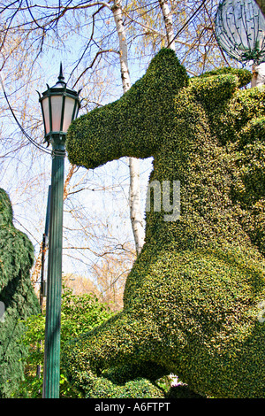 Hecke in Taverne auf der grünen Central Park New York City Stockfoto