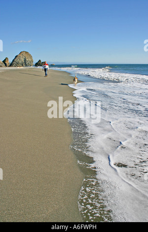 Frau zu Fuß Hund am Strand in Harris Beach State Park in der Nähe von Brookings, Oregon Stockfoto