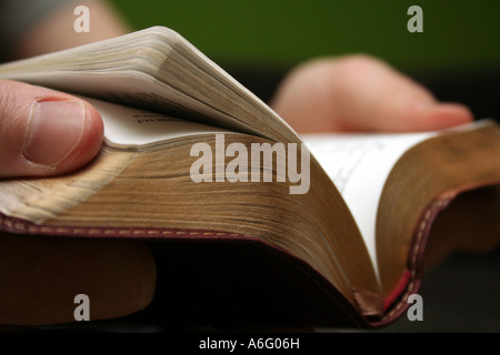 Junger Mann der Bibel mit hellen grünen Hintergrund Stockfoto