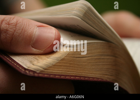 Blonder Jüngling, die Bibel zu lesen Stockfoto