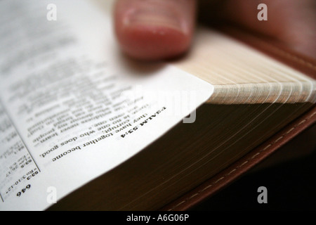 Blonder Jüngling Lesung der Bibel-Nahaufnahme Stockfoto