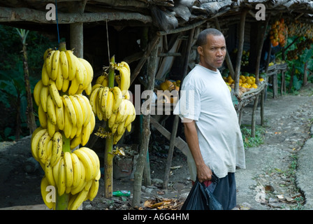 Obstverkäufer, Bergstraße von Sosua, Santiago, Dominikanische Republik, 1/07 Stockfoto