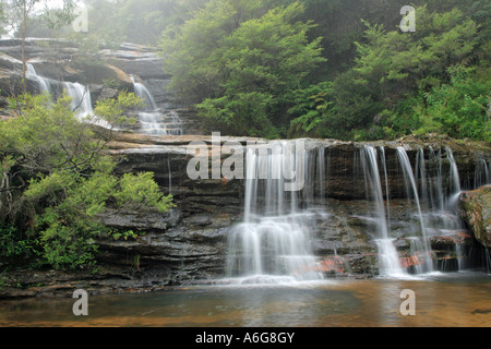 Wasserfall, Blue Mountains, New South Wales, Australien Stockfoto