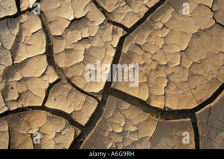 Erde in dry Creek Joshua Tree Nationalpark Kalifornien USA geknackt Stockfoto