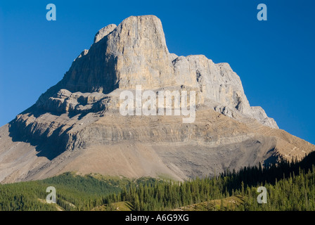 Nordwand des Roche Miette aus dem Athabasca Valley, Miette Range, Jasper Nationalpark, Alberta, Kanada Stockfoto