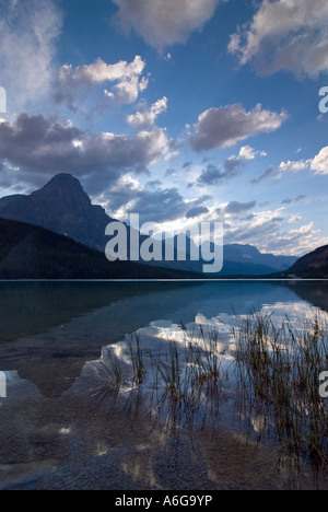 Reflexion des Mount Chephren im unteren Wasservögel See an einem bewölkten Morgen, waputik Berge, Banff National Park, Alberta, Cana Stockfoto