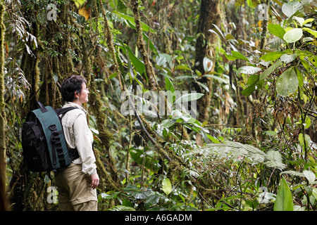 Frau mit Rucksack im Regenwald, Rara Avis, Las Horquetas, Costa Rica Stockfoto