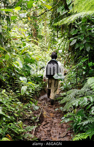 Frau mit Rucksack im Regenwald, Rara Avis, Las Horquetas, Costa Rica Stockfoto