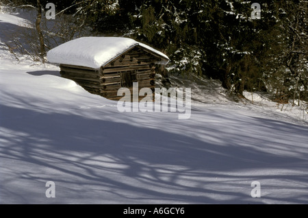 Schneebedeckte Holzhütte am Rande eines Waldes; in der Nähe von Oberstdorf, Allgäu, Bayern, Deutschland Stockfoto