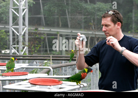 Besucher hält die Kamera mit einer Hand fotografieren Lorikeets Jurong Bird Park Lory Loft Singapur Stockfoto