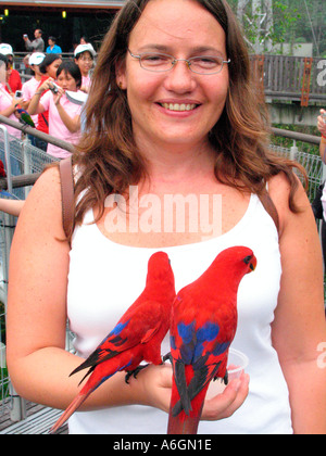 Lächelnde Frau Besucher feeds Lorikeets Jurong Bird Park Lory Loft Singapur Stockfoto