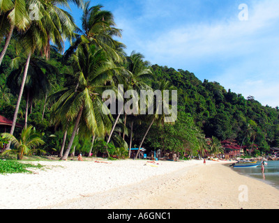 Ruhigen Palmen gesäumten Strand Perhentian Inseln Malaysia Stockfoto