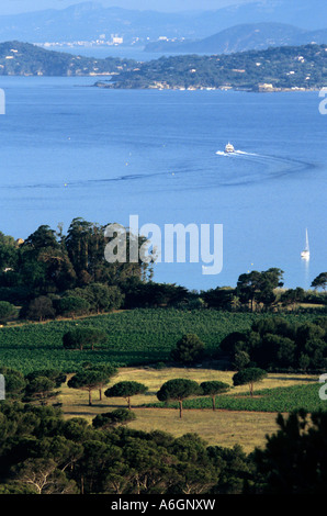 Porquerolles island Var (83) Frankreich Französisch Riviera Europa Stockfoto