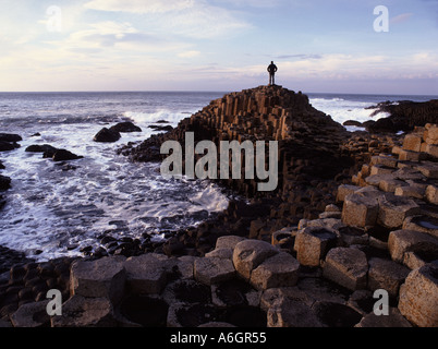 Das Giant es Causeway Land Antrim-Nordirland Stockfoto