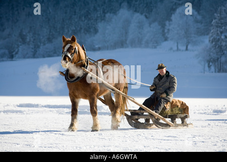Gezeichnete Pferdeschlitten in Rottach-Egern, Upper Bavaria Germany Stockfoto