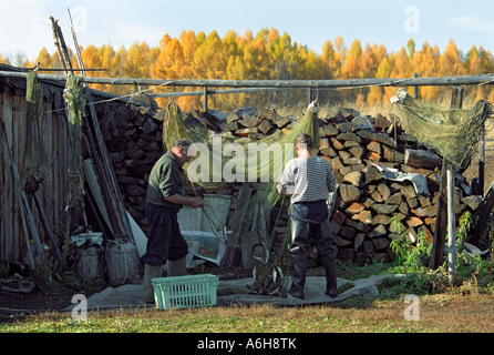 Fischer nehmen Fische vom Netz. Azas (Todja) See. TOORA-Khem Dorf in der Nähe. Die Republik Tuwa (Tuwa). Russland Stockfoto