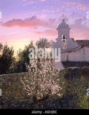 Tavira, Portugal Algarve, Kirchturm und Mandelblüte Abendlicht Stockfoto