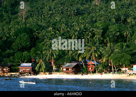 Strand-Bungalows unter Palmen Salang Beach Tioman Island, Malaysia Stockfoto