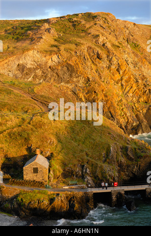 Mullion Cove Hafen auf der Halbinsel Lizard, Cornwall, England, Vereinigtes Königreich Stockfoto