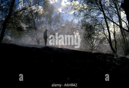 Zwei Feuerwehrmänner Dämpfung unten Wald nach einem Brand im Hochsommer, wenn der Boden trocken war Stockfoto