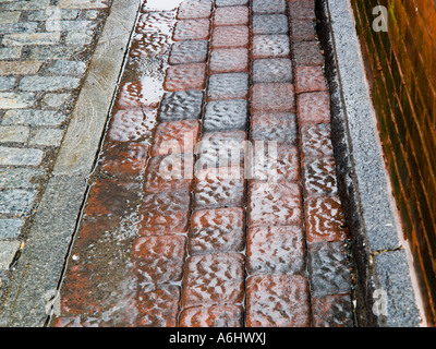 Pflastersteine und Pfützen Stockfoto