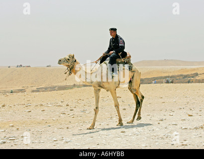 Touristen-Polizei auf dem Gizeh-plateau Stockfoto