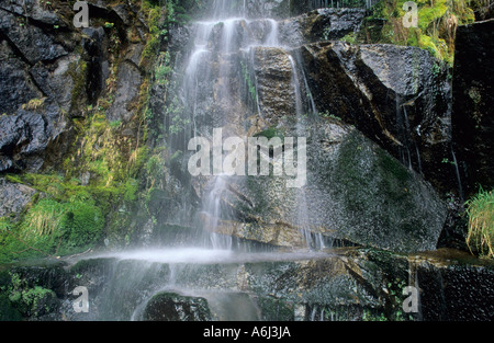 Kleiner Wasserfall in der Cascade Range, Washington State, USA Stockfoto