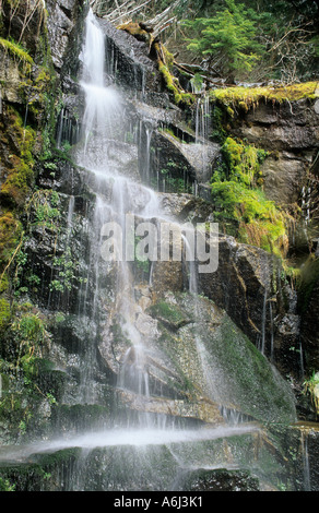 Kleiner Wasserfall in der Cascade Range, Washington State, USA Stockfoto