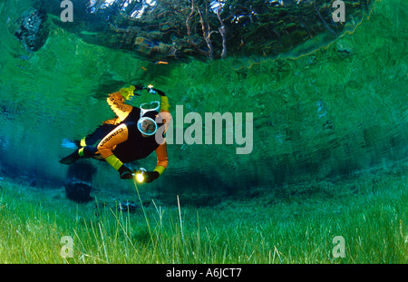 überschwemmte Wiese, Taucher im klaren Bergsee Stockfoto