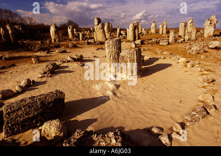 Stone Forest vor 50 Millionen Jahren Varna, Bulgarien Stockfoto