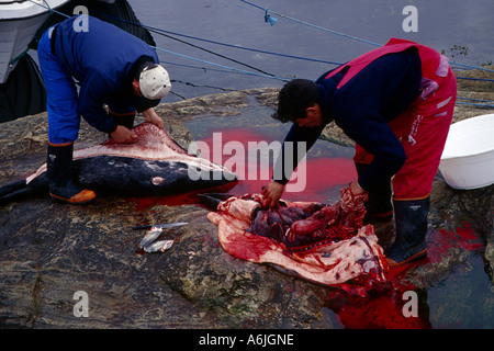 Inuit Schnitzerei, Dichtungen, Dänemark, Grönland, Kitaa, Upernavik Stockfoto