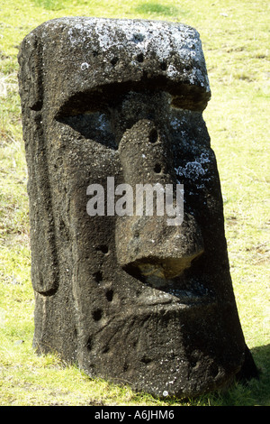 Moais am Rano Raraku, Osterinsel Stockfoto