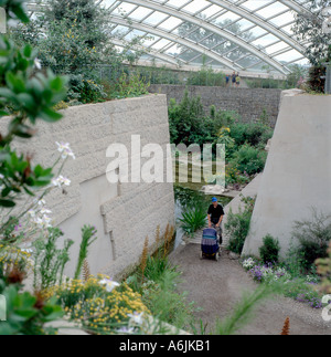 Fosters große Glashaus im Inneren der National Botanic Garden of Wales Carmarthen Wales UK KATHY DEWITT Stockfoto