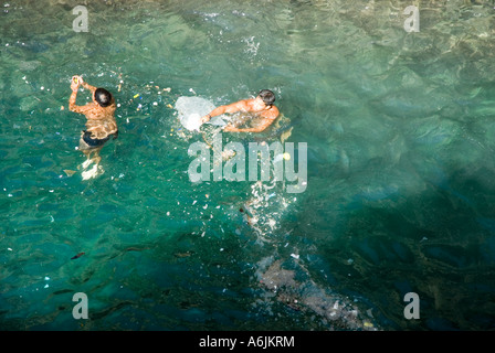 Taucher aus Quebrada Klippen Reinigung das Wasser aus dem Papierkorb - Acapulco Stockfoto