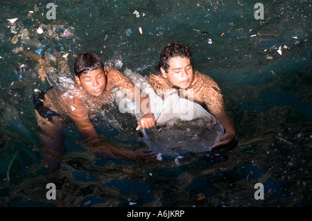 Taucher aus Quebrada Klippen Reinigung das Wasser aus dem Papierkorb - Acapulco Stockfoto