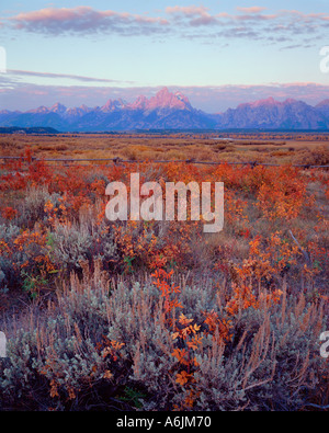 Grand Teton Nationalpark, WY: Sonnenaufgang auf der Teton Range mit der Snake River Plain im Vordergrund Stockfoto