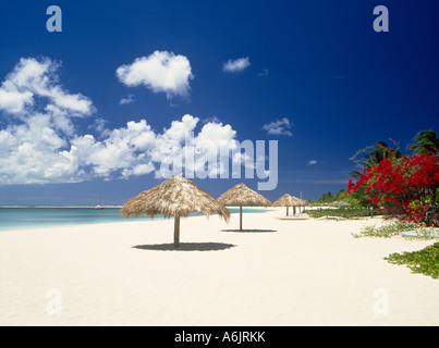 Tropical Beach, Barbuda, Antigua und Barbuda, Caribbean Stockfoto