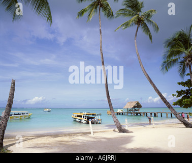 Tropischer Strand, Pigeon Point, Tobago, Trinidad & Tobago, kleine Antillen, Karibik Stockfoto