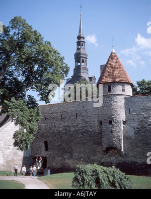 Wände, Old Town, Tallinner Altstadt, Harju, Estland Stockfoto